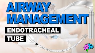 Anatomy of the Endotracheal Tube ET Tube  Airway Management [upl. by Friedman]