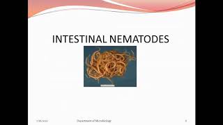 Intestinal Nematodes Part I [upl. by Jonny941]