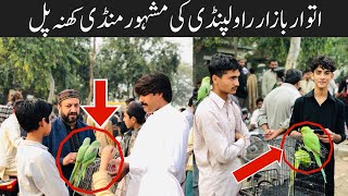 New Sunday Birds Market Rawalpindi Khanna pull  Sunday Birds Market Update  Khanna Pull [upl. by Anomahs]