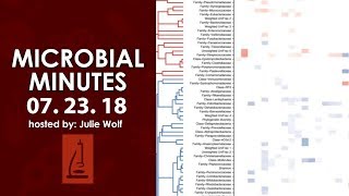 Microbiome disease databases HIV vaccine trial and antibiotic updates  Microbial Minutes [upl. by Conti]