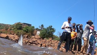 माहसीर खडशी गोड्या पाण्यातील वाघरोहूशिंगाडाचिलापीMAHSEER the strongest fresh water fish [upl. by Annaert]