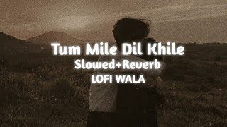 Tum Mile Dil Khile   SlowedReverb   Raj Barman  LOFI WALA [upl. by Anahtor]