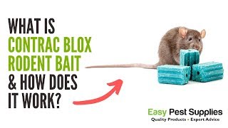 What is Contrac Blox Rodent Bait amp How Does it Work [upl. by Eissac]