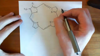 Soluble Guanylate Cyclase Part 3 [upl. by Fleece]