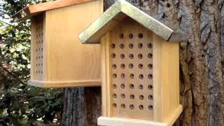 Choosing a Mason Bee House [upl. by Carmine]