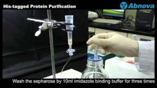 Histagged Protein Purification [upl. by Drusy745]