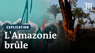 Pourquoi lAmazonie brûle et pourquoi cest grave [upl. by Henleigh840]