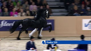 HK 2023  Winnaar Rubriek 6  Foeke 520 [upl. by Alten]