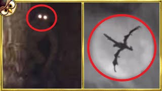 30 Mythical Creatures Caught On Camera amp Spotted In Real Life [upl. by Charlton720]