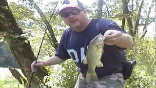 Catching Hellgrammites for bait to catch river smallmouth bass and other fish [upl. by Enomor]