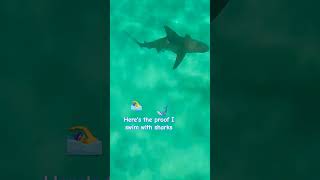 sharks circling me shorts 30a beach sharks [upl. by Royce]