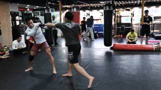 KOREAN PIBULL Seo DooWon VS KOREAN ZOMBIE Jung ChanSeong [upl. by Aciret370]