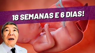 LIVE 18 SEMANAS E 6 DIAS [upl. by Jesselyn]