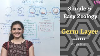 Germ Layers  Formation  Ectoderm  Endoderm  Mesoderm  Derivatives Diploblastic  Triploblastic [upl. by Cornie201]