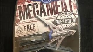 G5 MegaMeat Broadhead Review [upl. by Merlina]