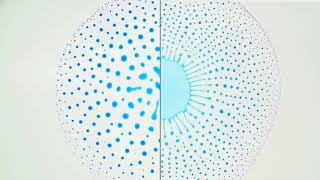 Marangoni Bursting EvaporationInduced Emulsification of a TwoComponent Droplet [upl. by Nahtad]