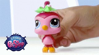 Littlest Pet Shop  Bobble Toys [upl. by Xonel]