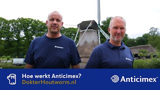 Hoe werkt Anticimex bij het bestrijden van houtworm en boktor [upl. by Prem]