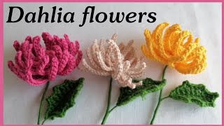 Crochet Dahlia flowers Different Variety [upl. by Emile]