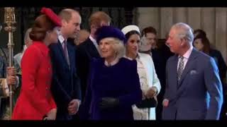 Camilla appears to mock Meghan Markle by putting her hand on Tummy [upl. by Bunder]