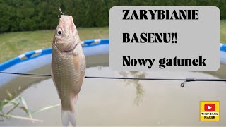 ZARYBIANIE BASENU 5 nowy gatunek ryby stan roslin [upl. by Daigle]