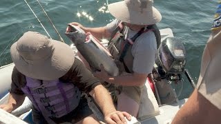 Fish and Wildlife Officers Give Salmon to Family of Fishermen [upl. by Artemus]