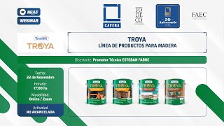 Webinar TERSUAVE  TROYA LÍNEA DE PRODUCTOS PARA MADERA [upl. by Salomie400]