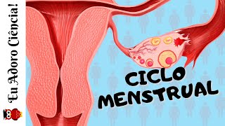 Ciclo Menstrual [upl. by Anselm573]