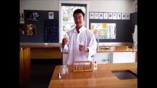 Precipitation Reaction Sulfuric Acid and Barium Nitrate [upl. by Revolc]