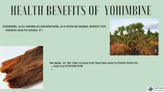 health benefits of Yohimbine [upl. by Eenattirb699]