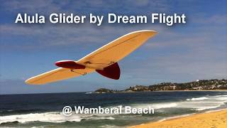 Alula Glider  Wamberal Beach [upl. by Yance]