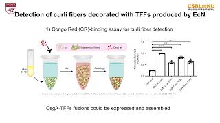 Engineered E coli Nissle 1917 for the delivery of matrixtethered therapeutic domains to the gut [upl. by Ap]