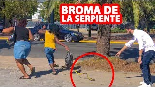 Las Mejores BROMAS De La SERPIENTE l Humor l Videos De Risa [upl. by Enenaej]