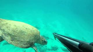 CHASSE SOUS MARINE  RENCONTRE AVEC UNE TORTUE DE MER plage de stavros [upl. by Ahsimal182]