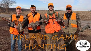 22 Bird Upland Game Hunt at Martzs Game Farm  Pheasants and Chukars [upl. by Artek]