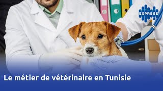 Le métier de vétérinaire en Tunisie [upl. by Tullius]