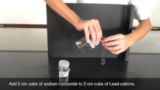 Testing of Lead Cations  sodium hydroxide [upl. by Magnusson529]