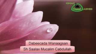 Sh Saalax Mucalim  Dabeecada Wanaagsan [upl. by Cheney]