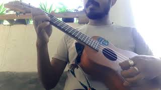 চলে আমার চান্দের গাড়ি Chander Gari  Ukulele  Instrumental  Baulapona [upl. by Melisenda]