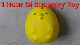 1 Hour Of Squeaky Chicken Egg Toy Sound [upl. by Euqinitram]