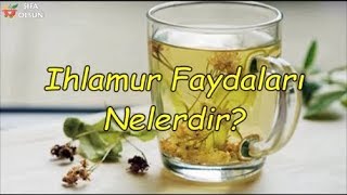 Ihlamur Faydaları Nelerdir [upl. by Yleve976]