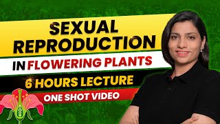 Sexual Reproduction in Flowering Plants Class 12 One Shot All Theory amp PYQs NEET 2024 Ritu Rattewal [upl. by Erda]