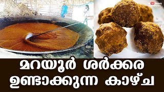 മറയൂർ ശർക്കര ഉണ്ടാക്കുന്ന കാഴ്ച  Marayoor Jaggery Making  Marayoor Sarkara [upl. by Ganny]