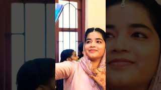 ചക്കരക്ക് ഒരുക്കിയ കല്ല്യാണ പാട്ട് Noufal Tkd Sister Wedding Song Thanseer Koothuparamba [upl. by Muna998]