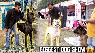 Biggest Dog Show in Haryana  Karnal Dog Show 😱 [upl. by Gambrell]