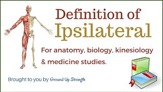 Ipsilateral Definition Anatomy Kinesiology Medicine [upl. by Relluf520]