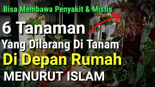 HATI  HATI  Inilah 6 Tanaman Yang Dilarang Ditanam Didepan Rumah Menurut Islam [upl. by Syl]