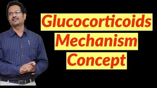 Glucocorticoid Mechanism Concept  Pharmacist exam preparation [upl. by Cooe9]