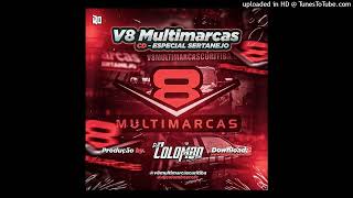 Especial Sertanejo  Botadona Bruta  V8 MULTIMARCAS [upl. by Hambley765]