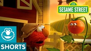 Sesame Street Tomato Musical Preview  Elmo the Musical [upl. by Donaugh]